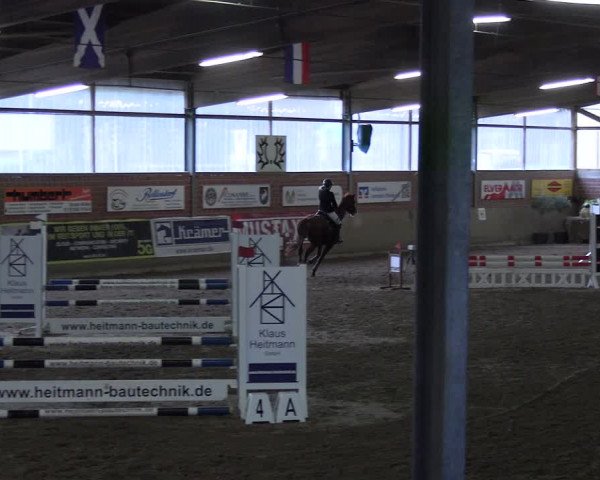 Reitturnier Lembeck 2024