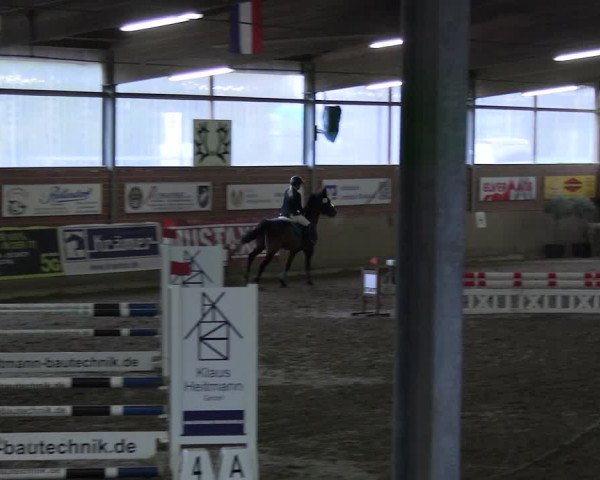 Reitturnier Lembeck 2024