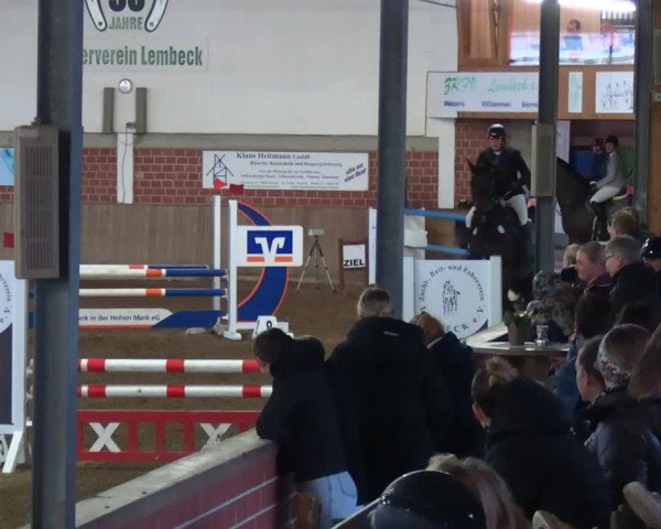 Reitturnier Lembeck 2024