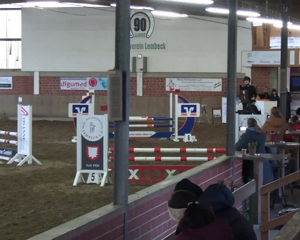 Reitturnier Lembeck 2024