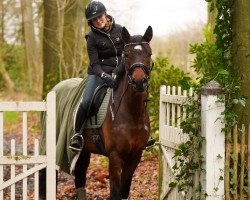 jumper Beneidenswert S (Westphalian, 2019, from Bel Amour 3)