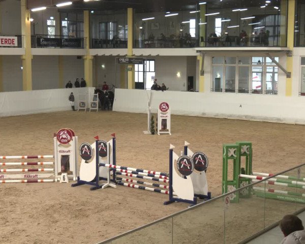 Reitturnier Stadl-Paura 2024