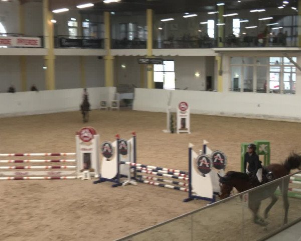 Reitturnier Stadl-Paura 2024