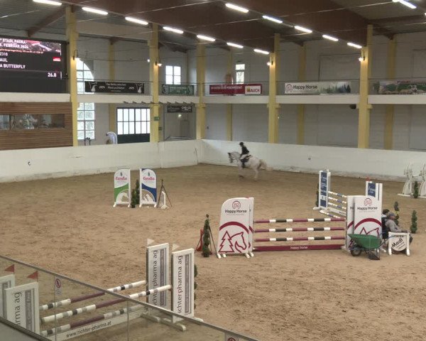Reitturnier Stadl-Paura 2024