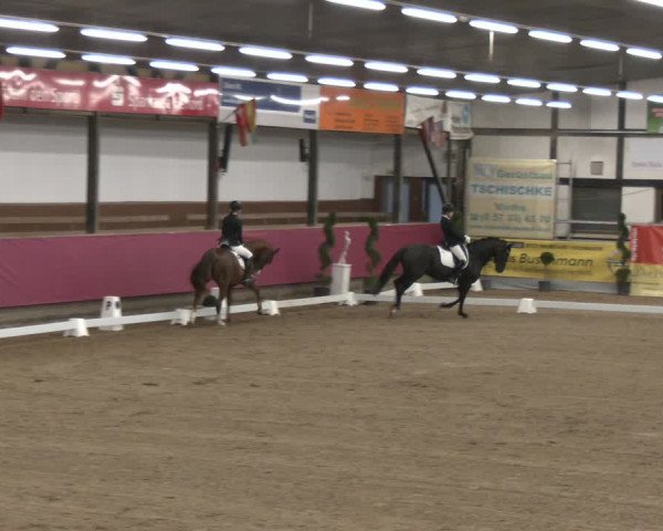Reitturnier Vlotho-Exter 2024