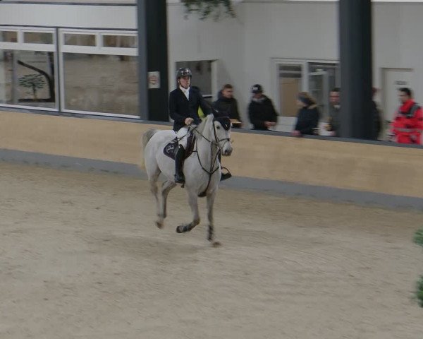 Reitturnier Borken 2024