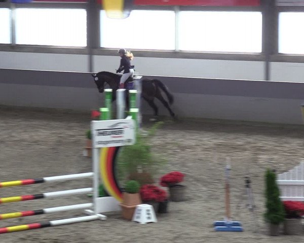 Reitturnier Luhmühlen 2024