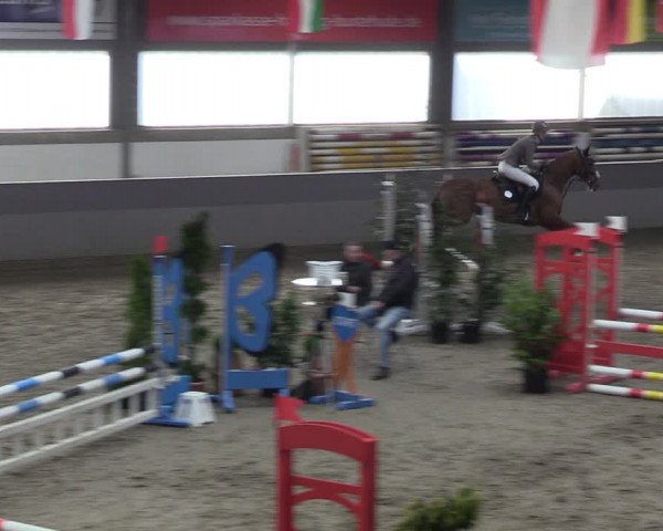Reitturnier Luhmühlen 2024