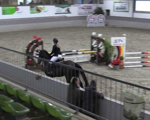Reitturnier Luhmühlen 2024