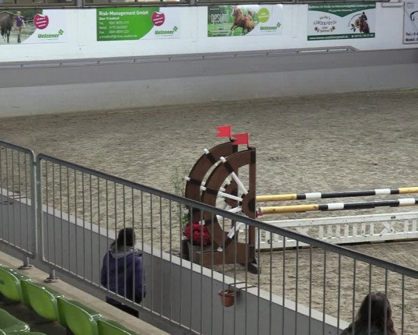 Reitturnier Luhmühlen 2024