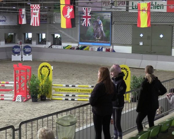 Reitturnier Luhmühlen 2024