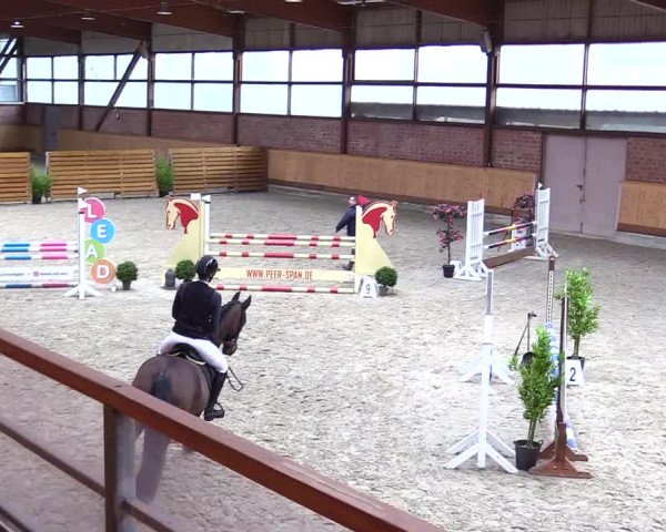Reitturnier Hamburg-Friedrichshulde/Sylva Kuhrt 2024