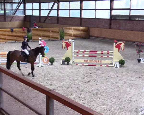 Reitturnier Hamburg-Friedrichshulde/Sylva Kuhrt 2024