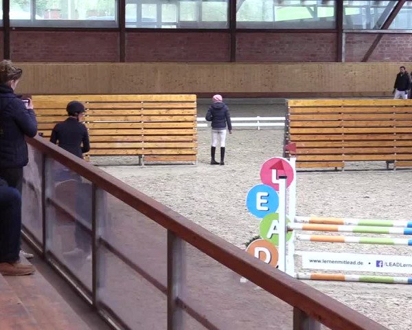 Reitturnier Hamburg-Friedrichshulde/Sylva Kuhrt 2024