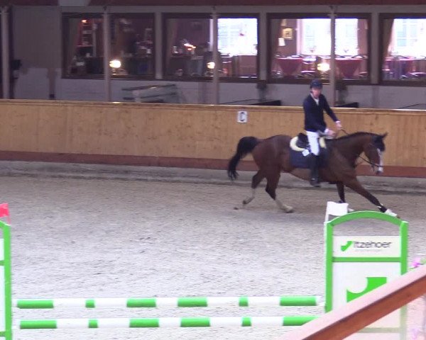 Reitturnier Hamburg-Friedrichshulde/Sylva Kuhrt 2024