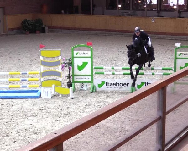 Reitturnier Hamburg-Friedrichshulde/Sylva Kuhrt 2024