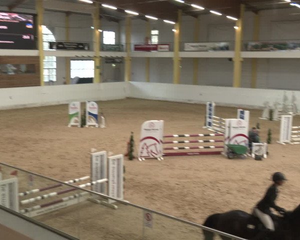 Reitturnier Stadl-Paura 2024