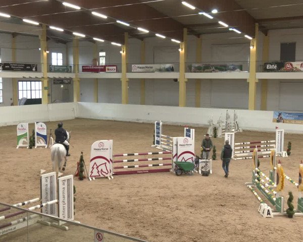 Reitturnier Stadl-Paura 2024