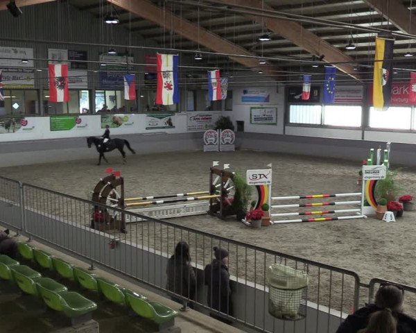 Reitturnier Luhmühlen 2024