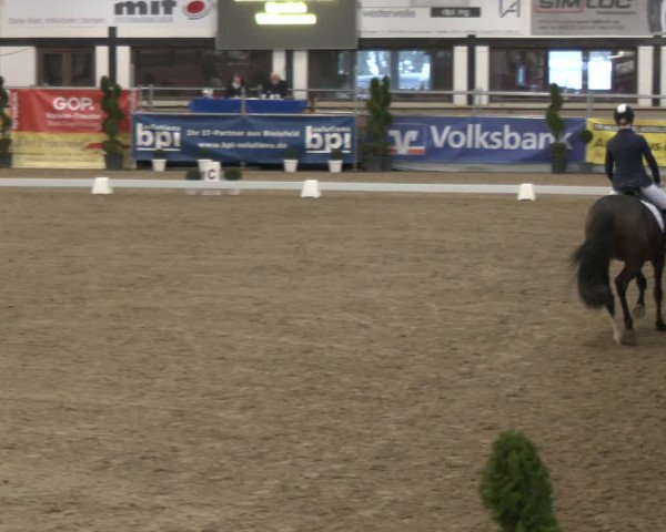 Reitturnier Vlotho-Exter 2024