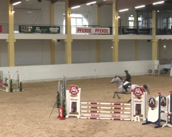 Reitturnier Stadl-Paura 2024