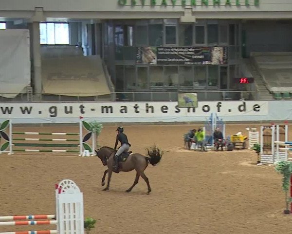 Reitturnier Kreuth/Opf. 2024
