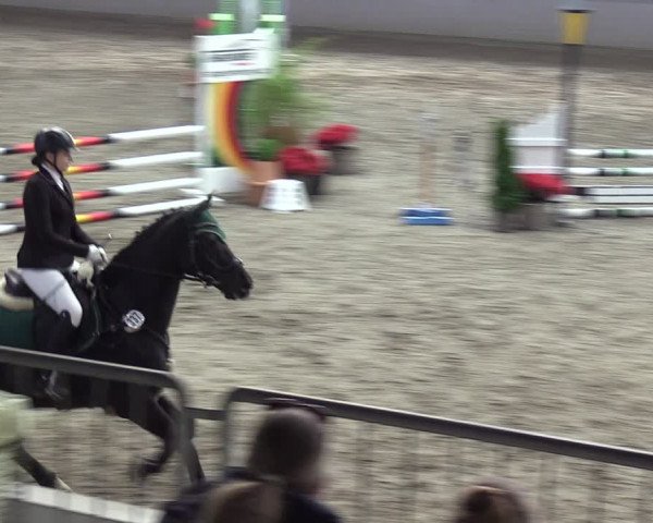 Reitturnier Luhmühlen 2024