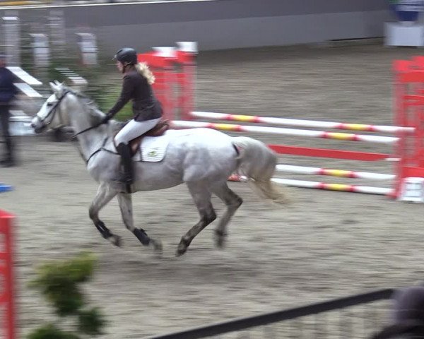 Reitturnier Luhmühlen 2024