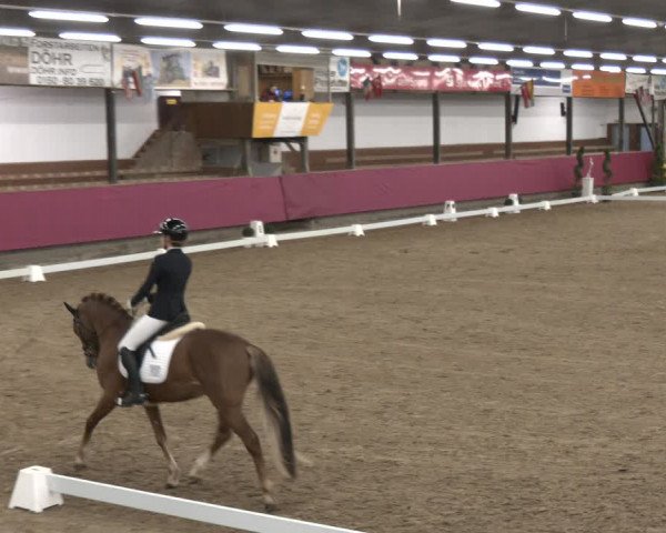 Reitturnier Vlotho-Exter 2024
