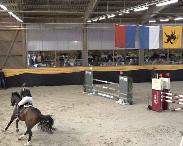 Reitturnier Erlen 2024