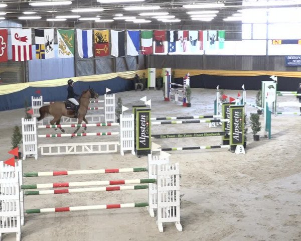 Reitturnier Erlen 2024