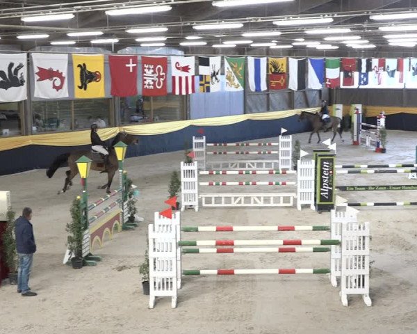 Reitturnier Erlen 2024