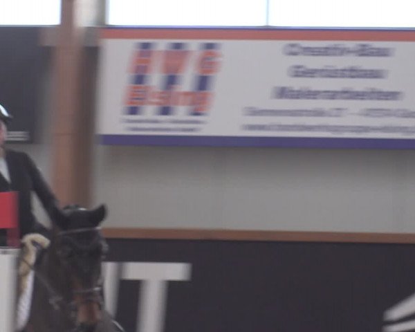 Reitturnier Goch-Asperden 2024