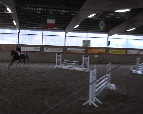 Reitturnier Lembeck 2024