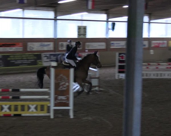 Reitturnier Lembeck 2024