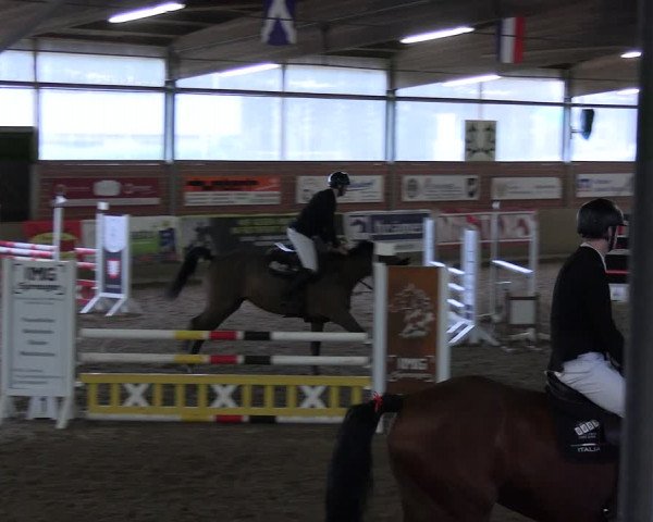 Reitturnier Lembeck 2024