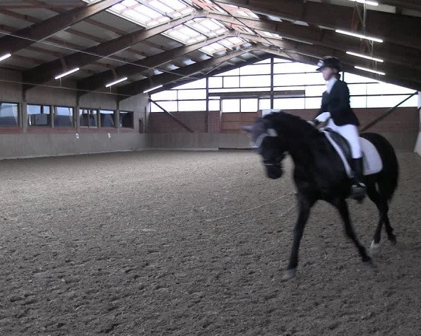 Reitturnier Lembeck 2024