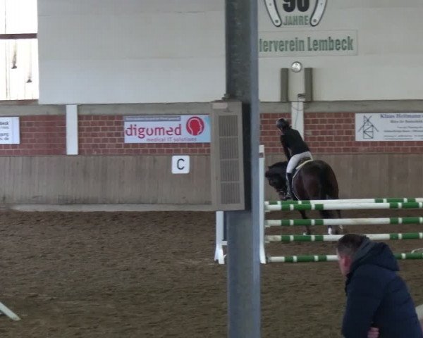 Reitturnier Lembeck 2024