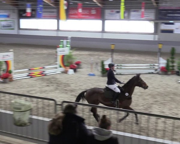 Reitturnier Luhmühlen 2024