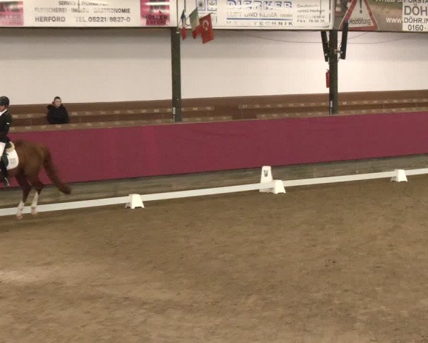 Reitturnier Vlotho-Exter 2024