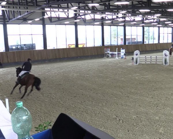 Reitturnier Zwickau 2024
