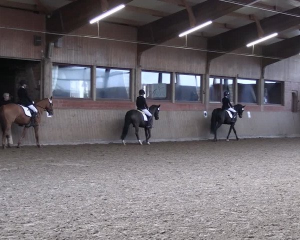 Reitturnier Lembeck 2024