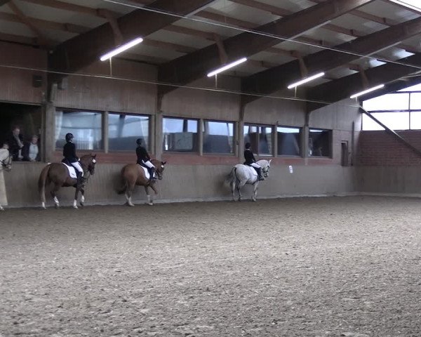 Reitturnier Lembeck 2024