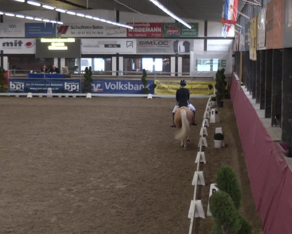 Reitturnier Vlotho-Exter 2024
