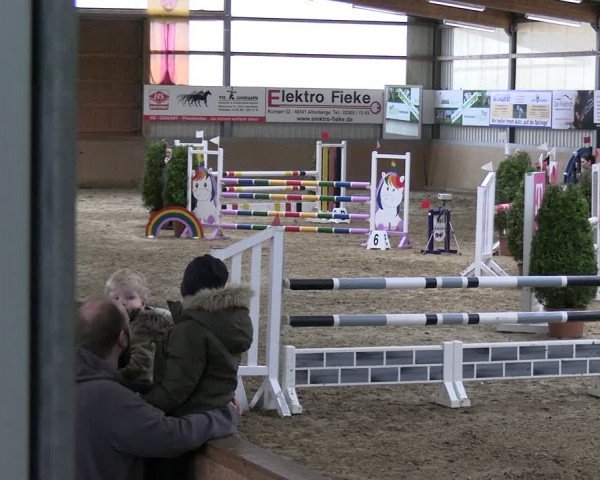Reitturnier Altenberge 2024