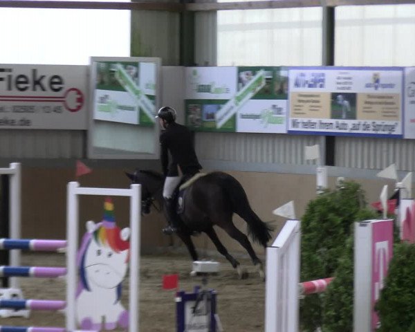 Reitturnier Altenberge 2024