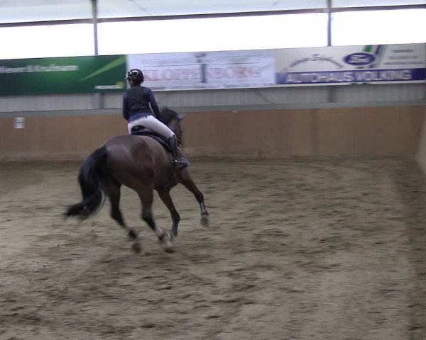 Reitturnier Altenberge 2024