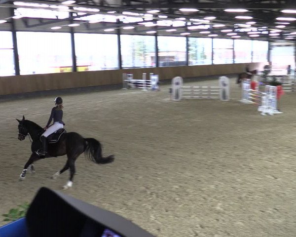 Reitturnier Zwickau 2024