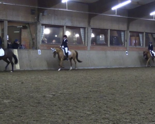 Reitturnier Lembeck 2024