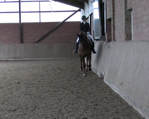 Reitturnier Lembeck 2024